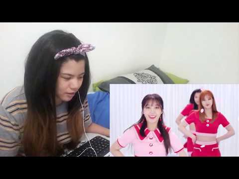 Apink에이핑크   FIVE MV Reaction