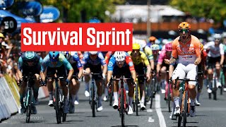 No One Was Safe In Tour Down Under 2026 Stage 3