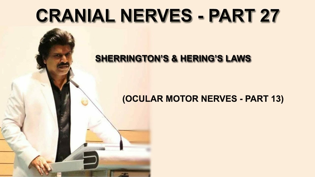 CRANIAL NERVES PART 27,SHERRINGTON'S & HERING'S LAWS,(OCULAR MOTOR