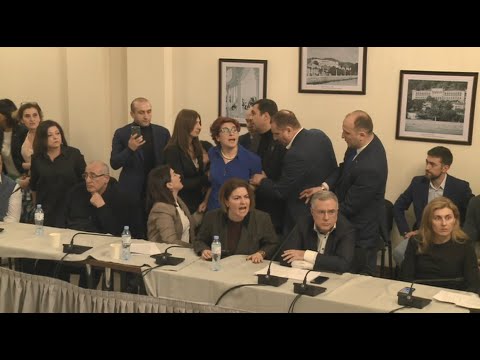 ხათუნა სამნიძე და ანა ნაცვლიშვილი კომიტეტის სხდომიდან მანდატურებმა იძულებით გაიყვანეს
