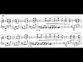 Liszt  mephisto waltz no 1 s514a filipec