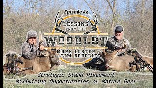 Strategic Stand Placement — Maximizing Opportunities on Mature Deer