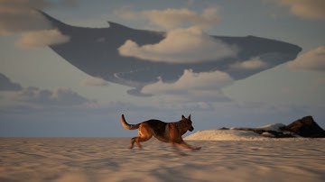 "Often A Bird" - Unreal Engine 5 Animation