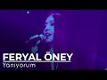 Feryal ney  yanyorum  yediveren 