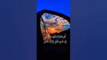 القارئ محمد حسين عامر رحمه الله#quran