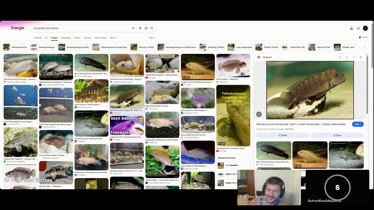 ARE FISH PROFITABLE?