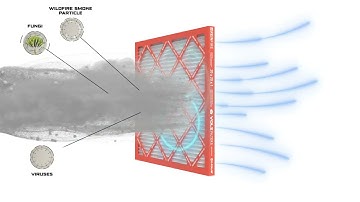 Ultra-Realistic 3D Filter Airflow Animation | Particle Simulation & Neutralization FX