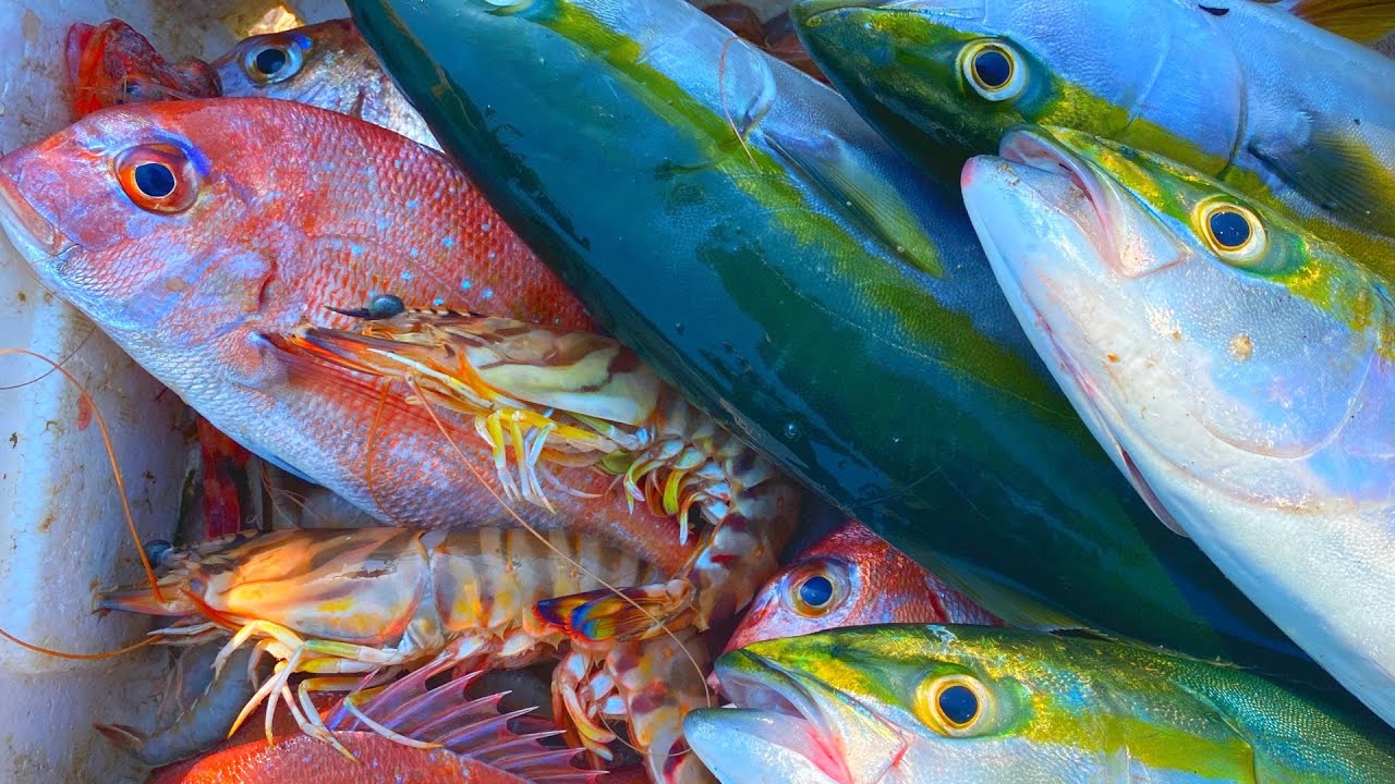 漁師に高級リールを与えてみた結果がコチラ