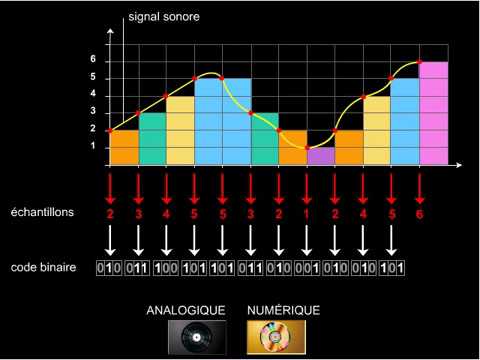 Analogique et numérique