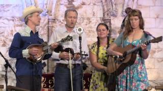 The FOGHORN STRINGBAND, "Go Home", Westport Folk & Bluegrass Festival 2016 chords