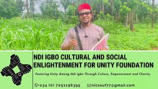 Ndi IGBO have aided us so far with N1,072,538.16 so far. We are grateful Our target is N20m