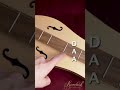 Easiest Instrument Ever? How to Play the Mountain Dulcimer 🎶