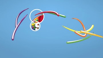 401 v5 c2   Color Scheme Logo Reveal animation intro any colors