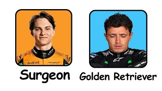 Oscar Piastri vs Lando Norris: McLaren’s CIVIL WAR Explained