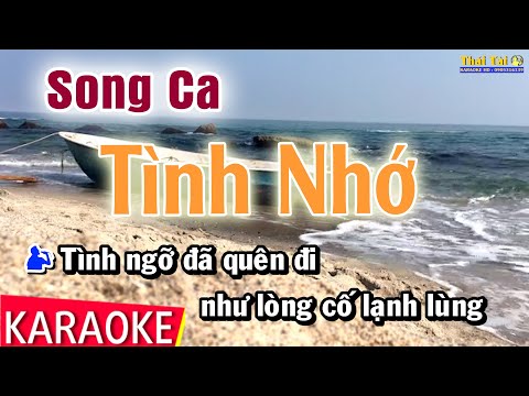 Karaoke Tình Nhớ Song Ca | Thái Tài