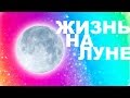 Жизнь на Луне и её многомерное прошлое (Сенсация)