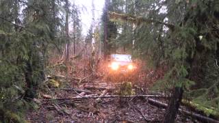 Sasquatch caught on camera in Squamish bc