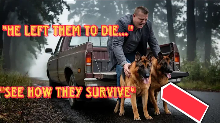 Cruel Man Dumps Two Dogs on Highway — He Never Expected them Saving His Life Months Later!