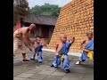 Shaolin Kid Warriors