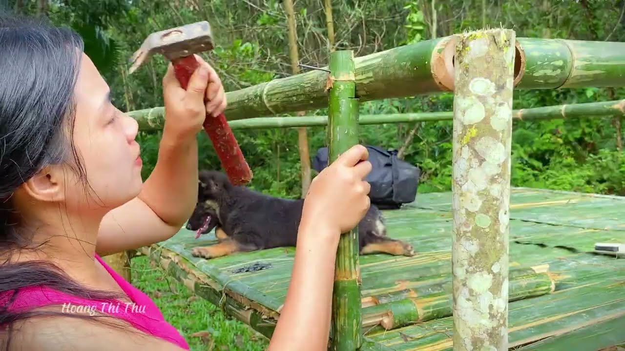 Jungle Survival Skills: Building a Shelter, Encounter Wild Boar - Determined to Subdue Wild Boars
