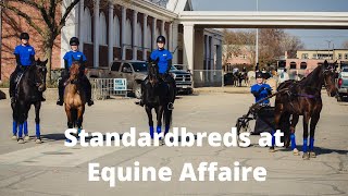 Standardbreds at the Equine Affaire