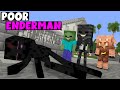 Poor enderman became new student  monster school minecraft animation