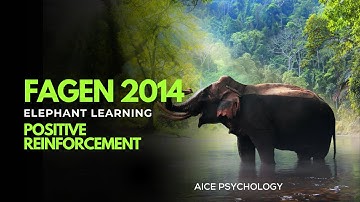 Fagen 2014 Elephant Learning