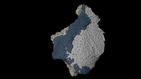 410-Million-Year-Old Fish Fossil Virtual 3D CT Scan