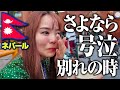 【別れ】ありがとうネパール、そしてタイへ…。チベット避難民の村と危険なディズニー遊園地🎡地獄の夜行バス再び🚍️