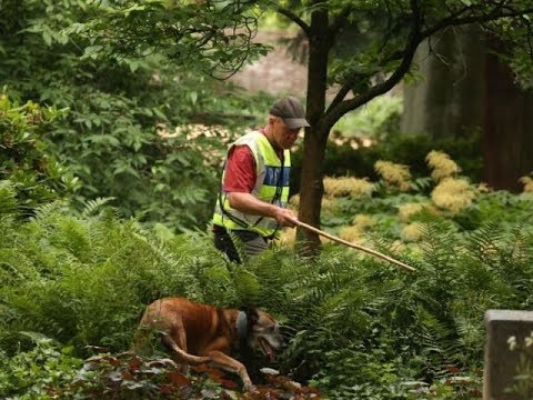 Mordfall Iulia (15), Viersen: Mutmaßlicher Täter (17) stellt sich – Verdächtigter Türke freigelassen deutschland rammstein
