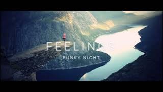 DJ FUNKY NIGHT 2023!!! Feelings - Regin Rhythm Remix!!