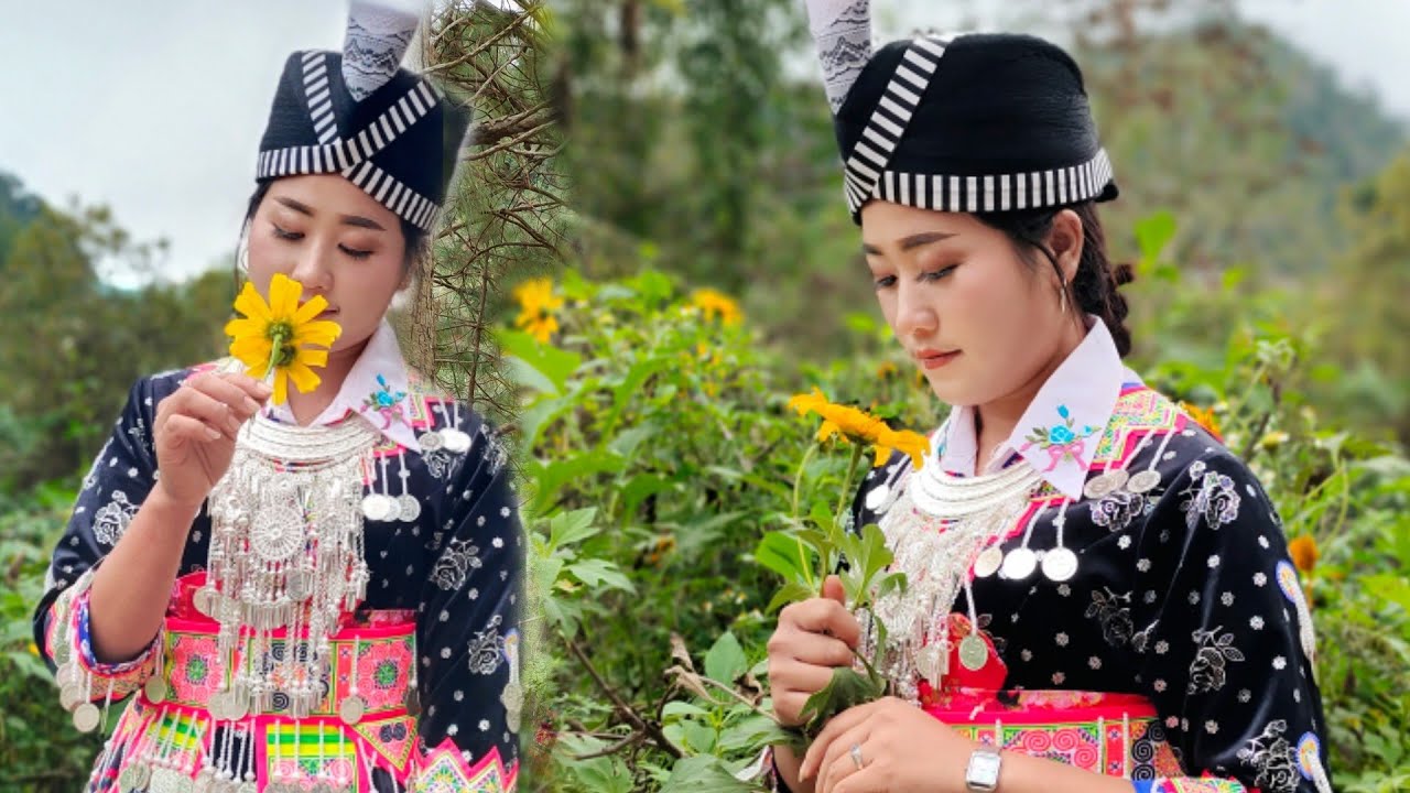 nkauj tawm tsiab zoo siab rov pom koj