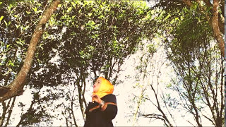 Download Lagu Lagu Gayo Terbaru - TASAK KEMERO - VOCAL KAS BENGI MP3