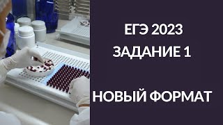 Задание 1 ЕГЭ по биологии 2023 (новый формат) Методы биологии