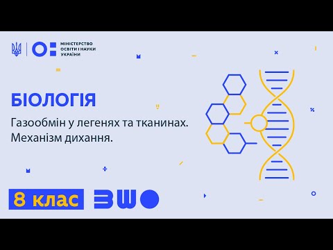 8 клас. Біологія. Газообмін у легенях та тканинах. Механізм дихання