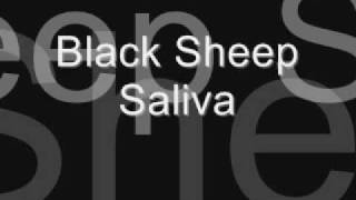 Black Sheep Saliva