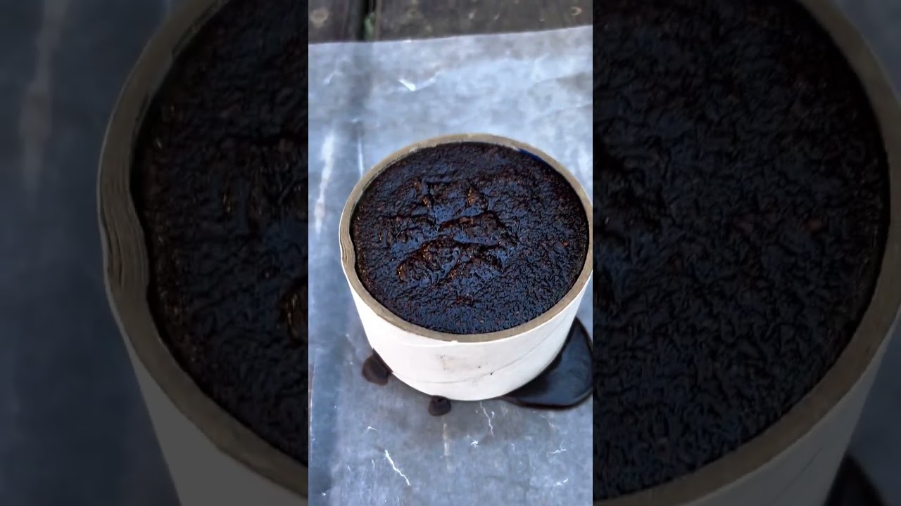 DIY Coffee FIRE STARTER Survival Hack🔥