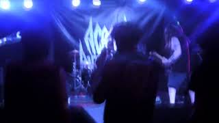 Across Antarctica - Escaping the Matrix