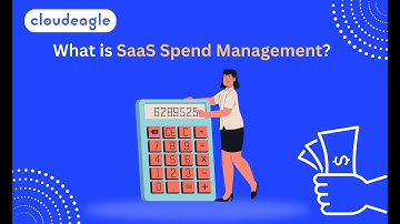 What is SaaS Spend Management? The Definitive Guide