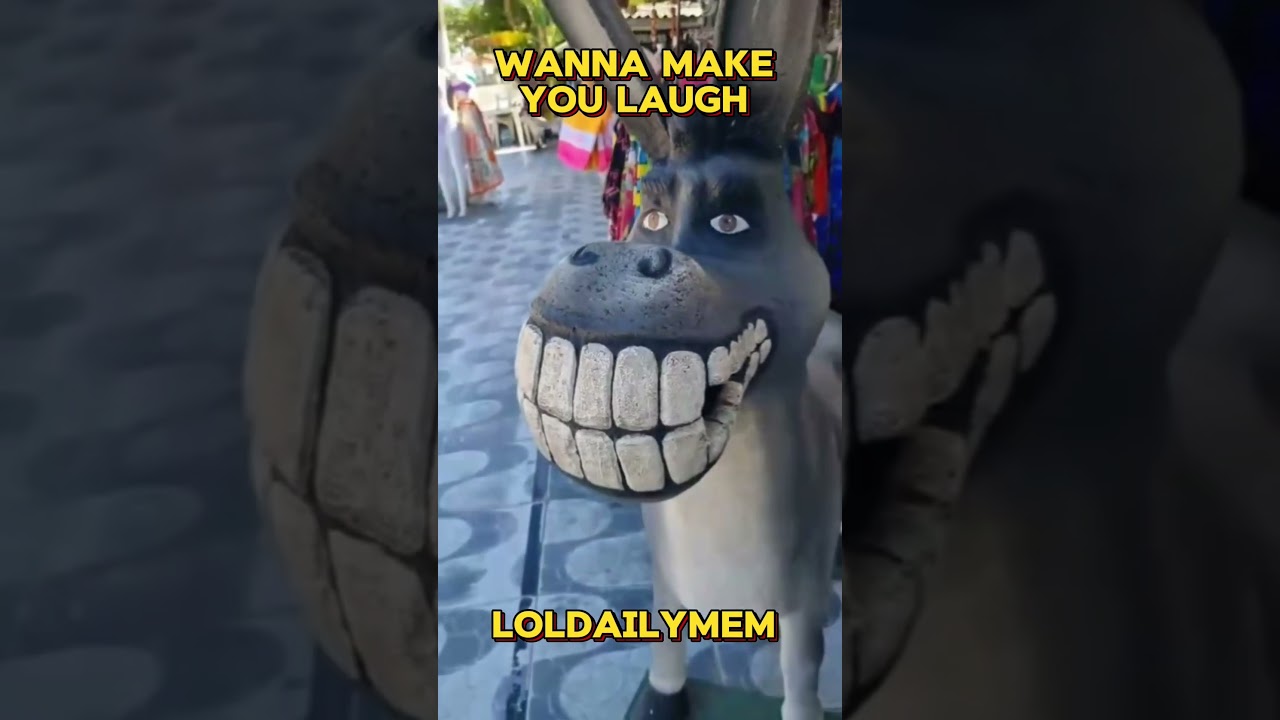 This bro was fully disappointed I Posting daily memes for 1 year I Day 14 vid.1