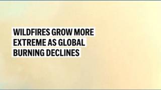 Wildfires grow more extreme as global burning declines