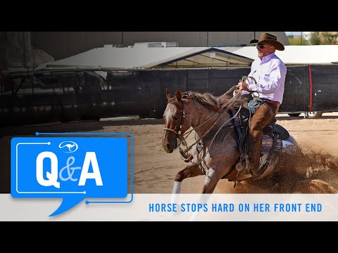 Reining Mare is Stopping Hard on Her Front End - Q&A