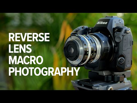 How To Do Reverse Lens Macro Photography