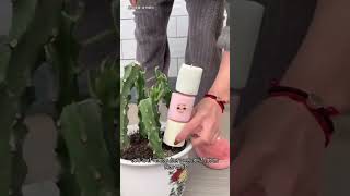 বাবার রান্নায় রান্নাঘর জ্বলে গেছে! #food #funny
