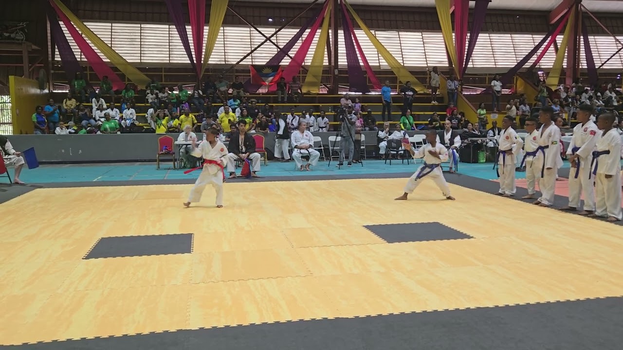 IKD world Cup Guyana 2024, Elie-Carmel kata individuel