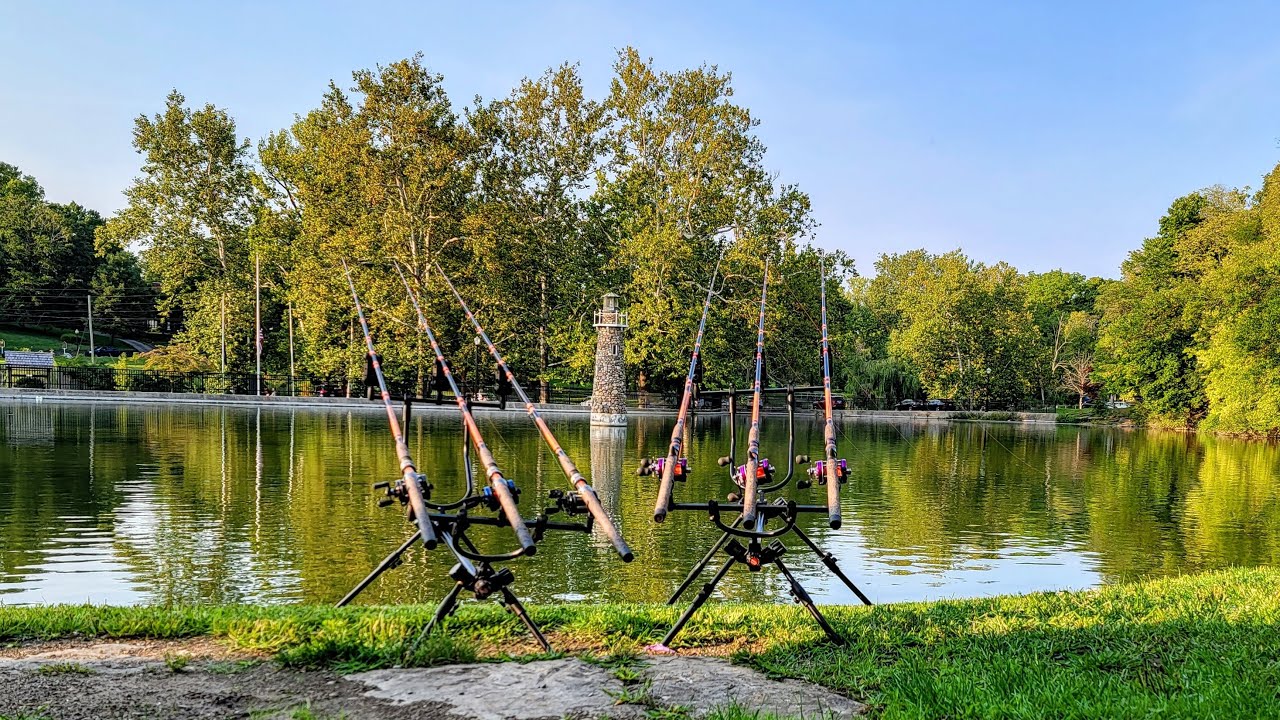 🔴 Live Night Fishing For Big Carp At A Light House YouTube