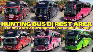 Download Lagu FULL TELOLET BASURI😱‼️hunting bus direst area spbu karangmojo gunungkidul full bus artis telolet MP3