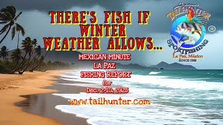MEXICAN MINUTE LA PAZ FISHING REPORT from Tailhunter Sportfishing for Week of Dec.2 -10, 2025