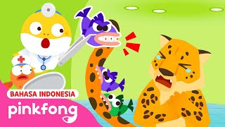 Roar! Teman Predator Menakutkan | Kartun Anak | Main Rumah Sakit | Baby Shark Indonesia by Lagu Anak - Baby Shark Pinkfong Indonesia 81,512 views 13 days ago 9 minutes, 12 seconds