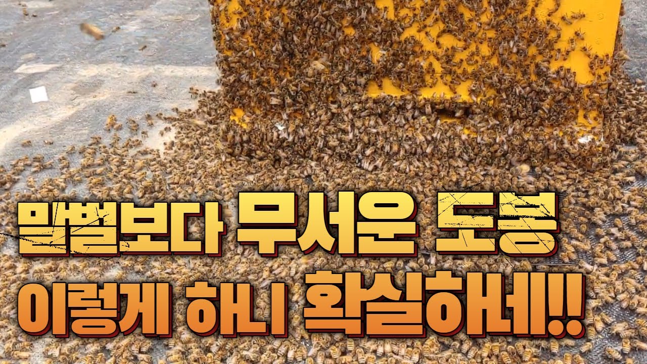 무밀기 살벌한 도봉 ㄷㄷ 확실한 해결방안 팁